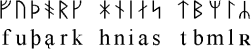 The Danish Futhark